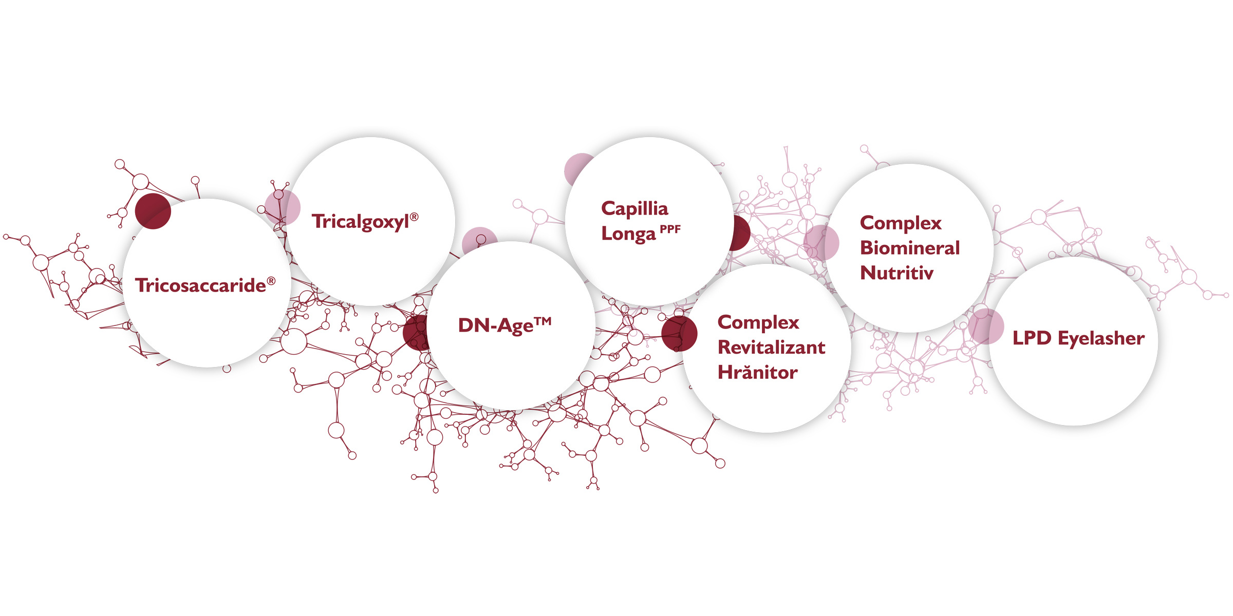 Supported by cutting edge scientific research
